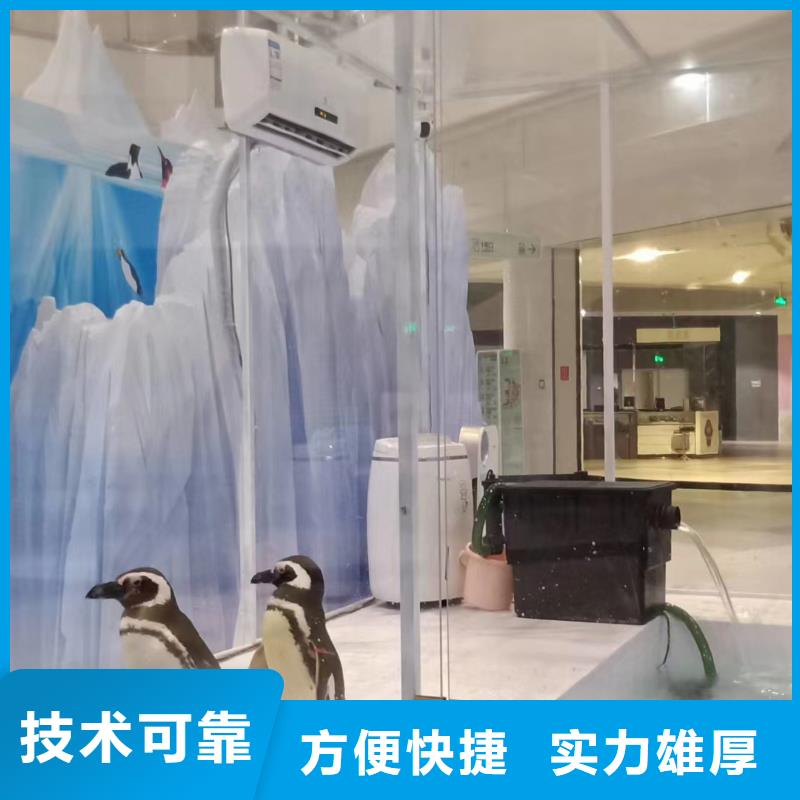 企鹅出租快速响应