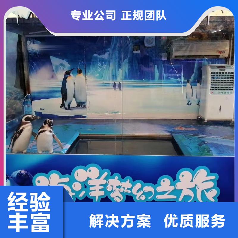 企鹅出租海洋主题比同行便宜