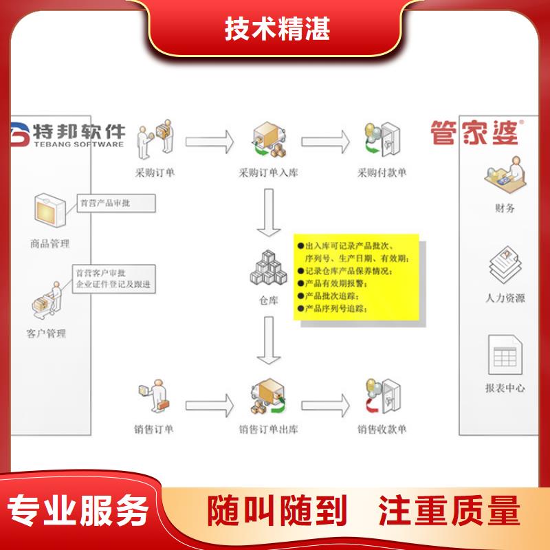 进销存系统专业团队