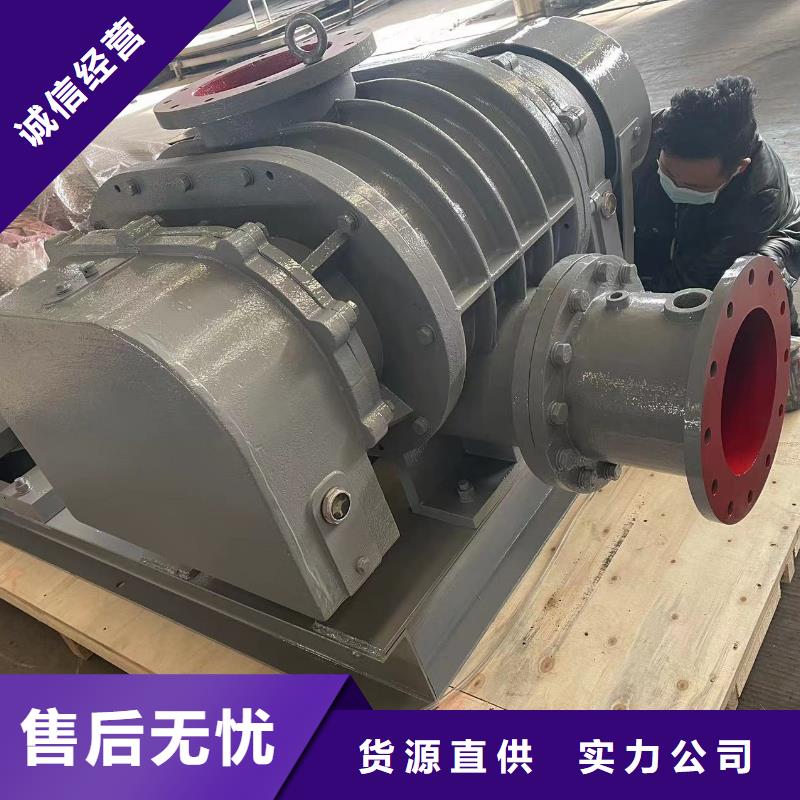 山东临风科技股份罗茨鼓风机LFSR300实拍展现