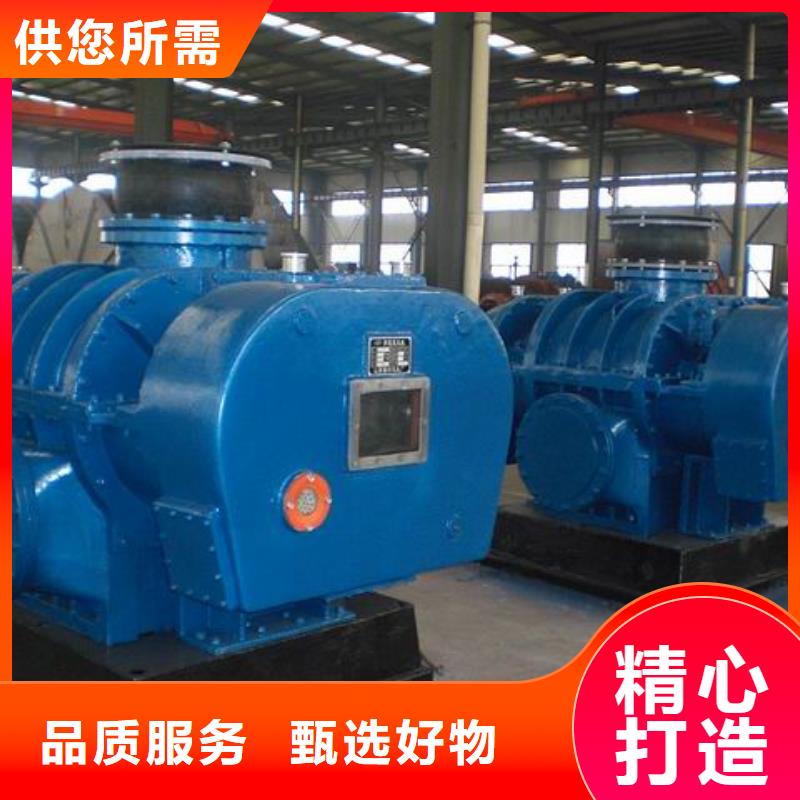 山东临风科技L系列罗茨风机LFSR125使用寿命长久