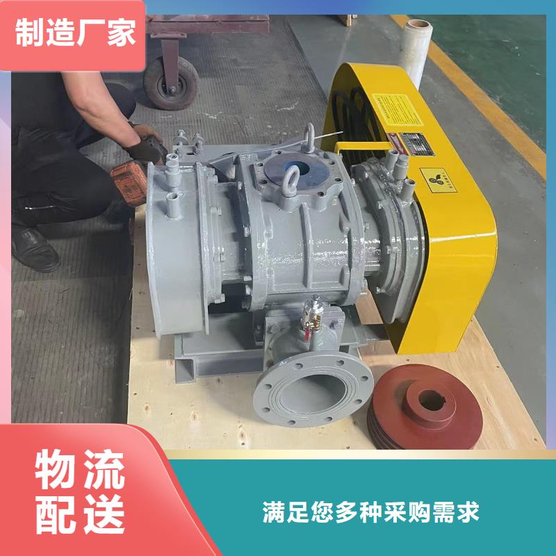 2025两叶罗茨风机LFSR100产地工厂