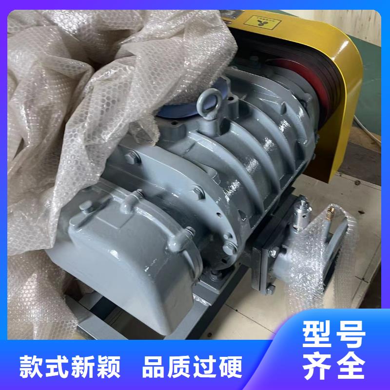 2025两叶罗茨风机LFSR125同城服务商