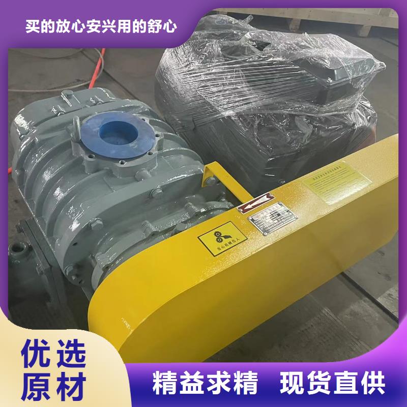 山东临风科技股份有限公司罗茨鼓风机LFSR300设备齐全支持定制