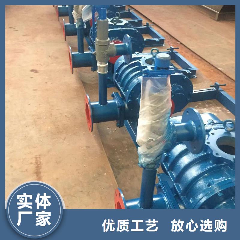 每日罗茨鼓风机LFSR200精心打造