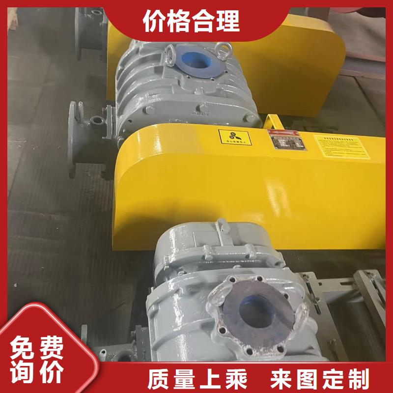 2025罗茨鼓风机LFSR100源头厂家