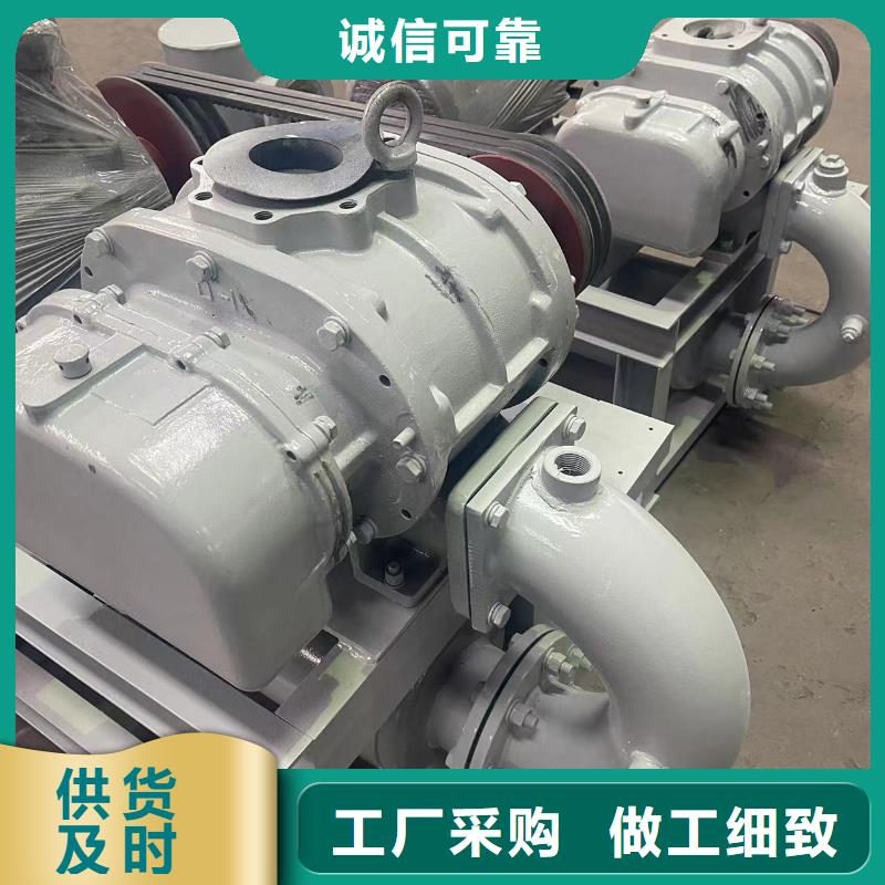 2025洗煤专用罗茨风机LFSR200用心做产品