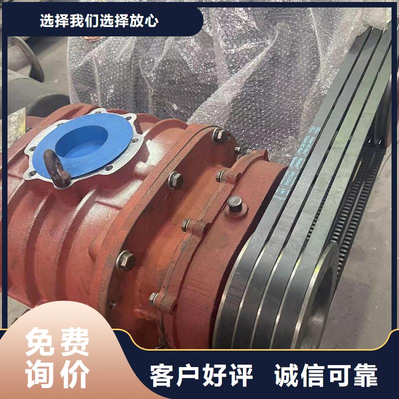 每日洗煤专用罗茨风机LFSR80认准大品牌厂家