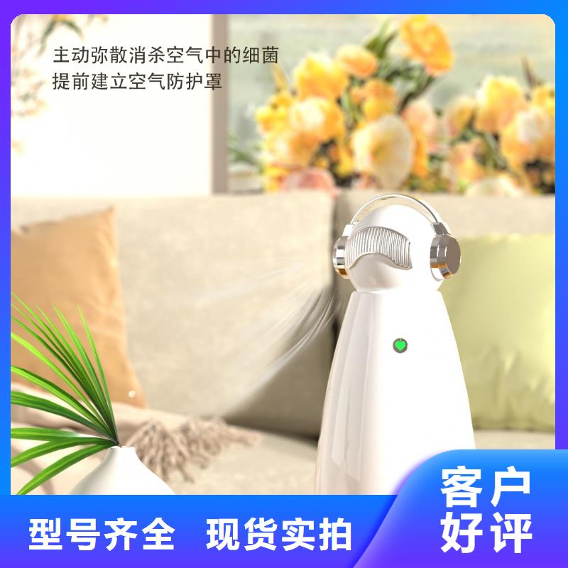 【深圳】厨房除味产品排名空气守护同城品牌