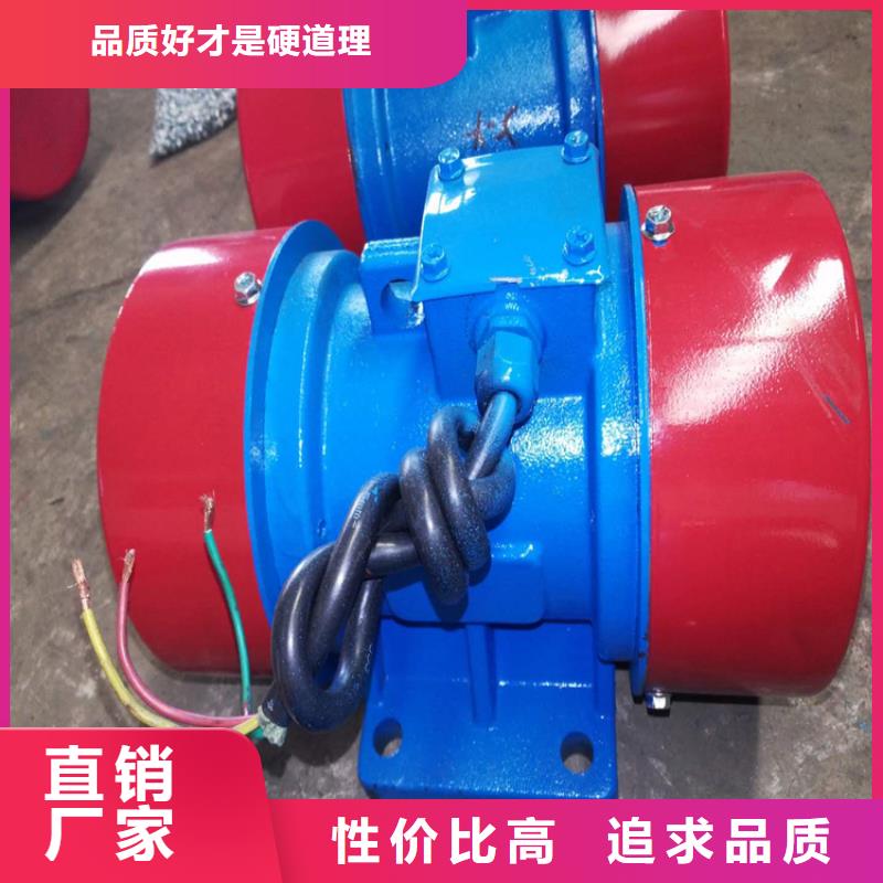 振动电机隔爆型振动电机实力老厂本地品牌