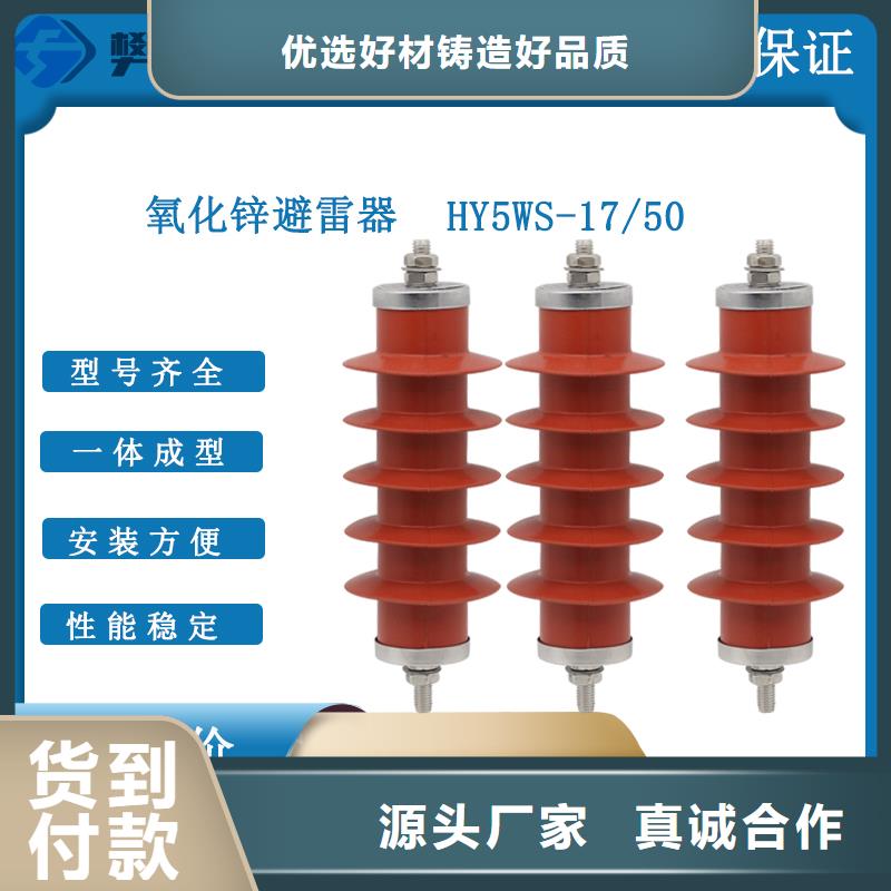 JSY-10/800避雷器计数器制造厂家