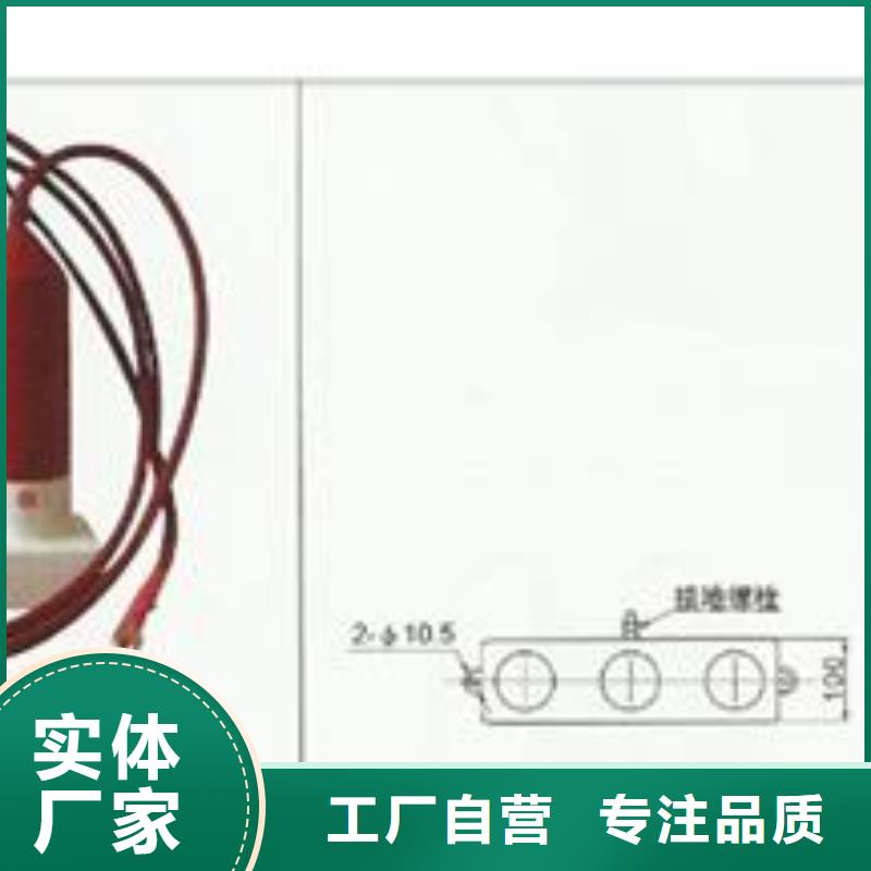 JCQ-1放电计数器图片本地生产商