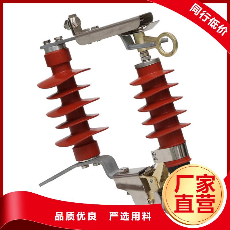 金属氧化物避雷器HY5WS-10/30真诚合作