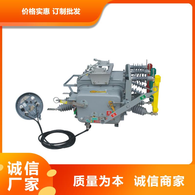 LW30-72.5/2000-40六氟化硫断路器同城供应商