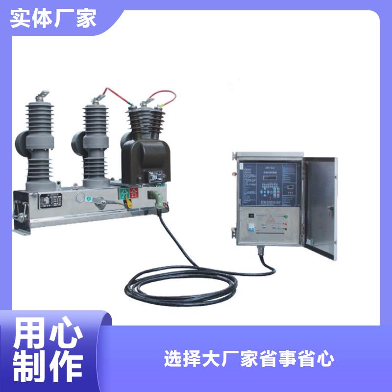 ZW43-12G/T630户外柱上真空断路器同城货源