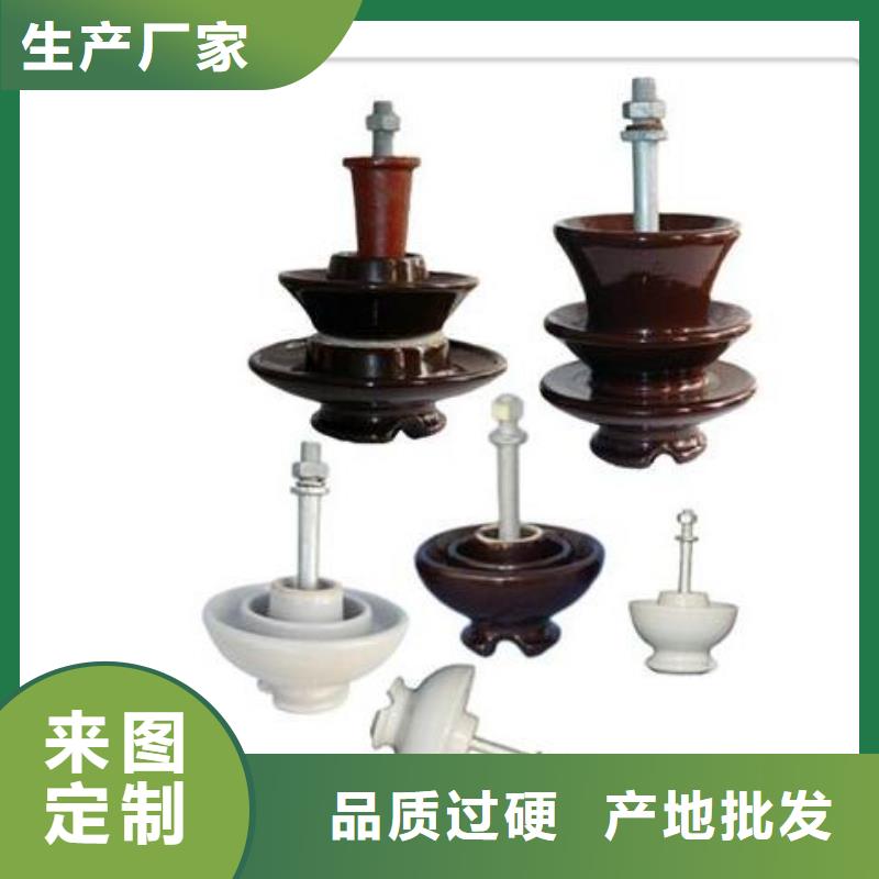 ZJ-10KV/65*140环氧树脂绝缘子专业生产N年
