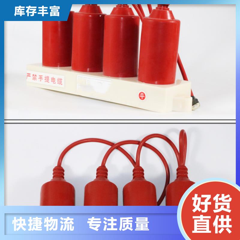 HY2.5WD-12.7/41.5*12.7/31三相组合式避雷器您想要的我们都有
