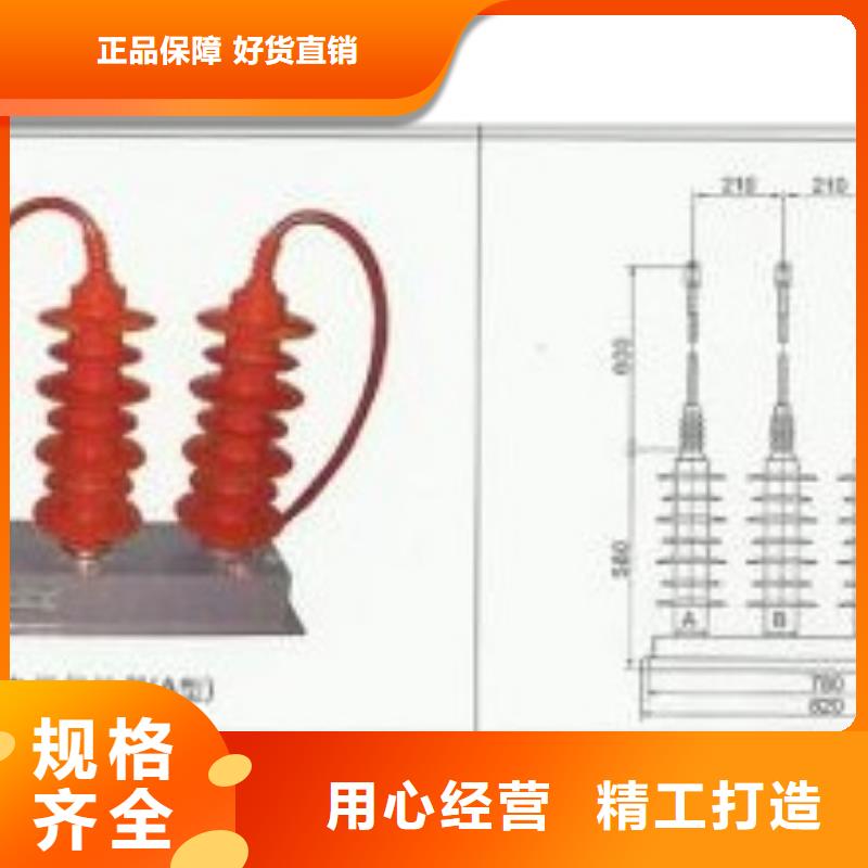 TBP-C-7.6/131F组合式保护器货真价实