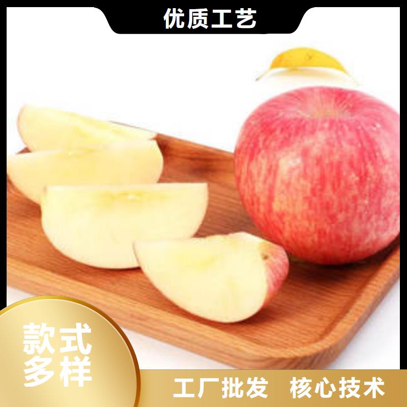 红富士苹果当地货源当地生产厂家