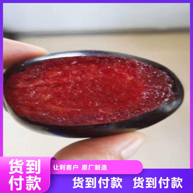 李子苗-蓝莓苗真材实料诚信经营厂家拥有先进的设备