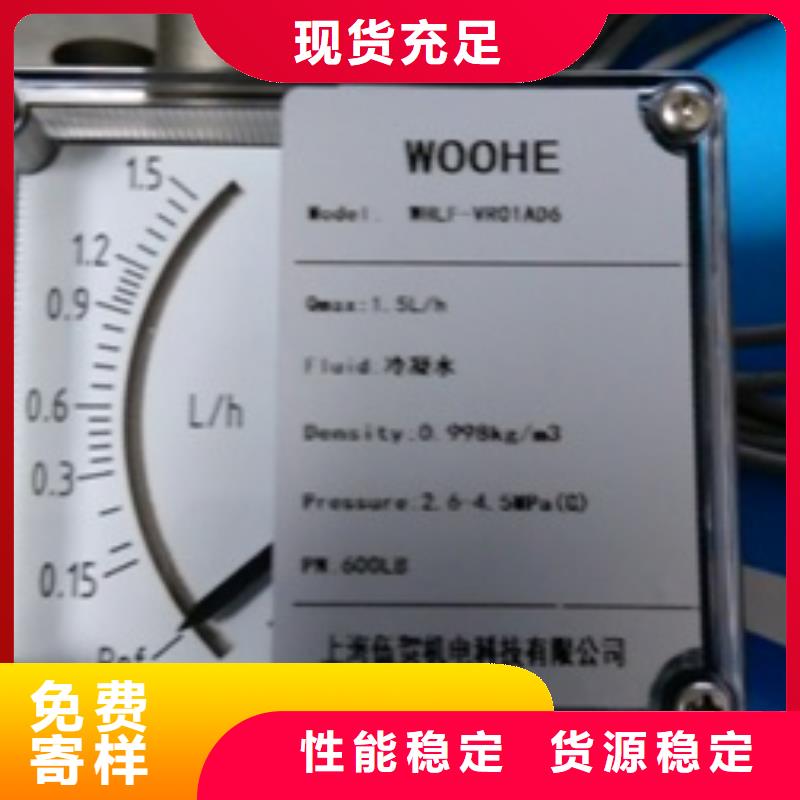 金属浮子流量计,【高压吹扫装置】欢迎来电咨询同城生产厂家
