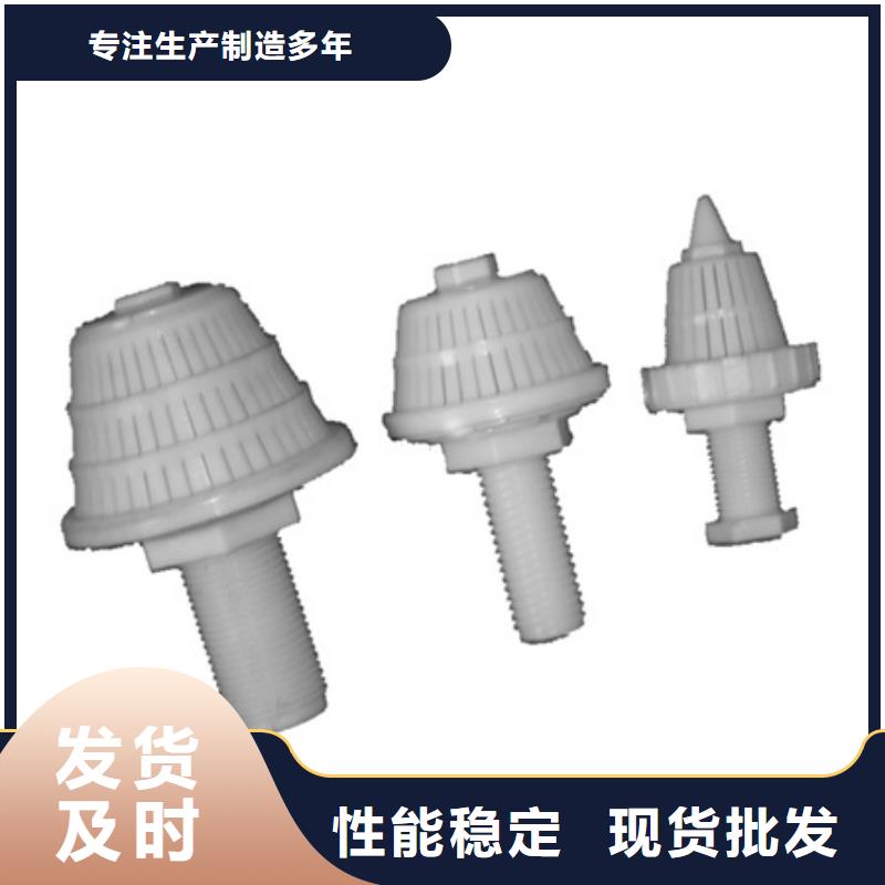 蘑菇型滤头安装简单反冲洗专用实力见证