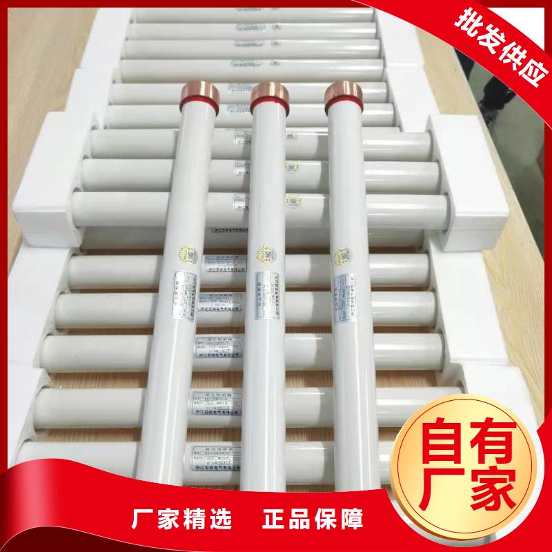 户内高压限流插入式熔断器本地生产商