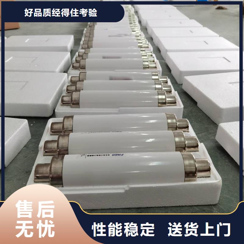 厂家直销限流熔断器12KV保险管规格齐全熔断器认准大品牌厂家