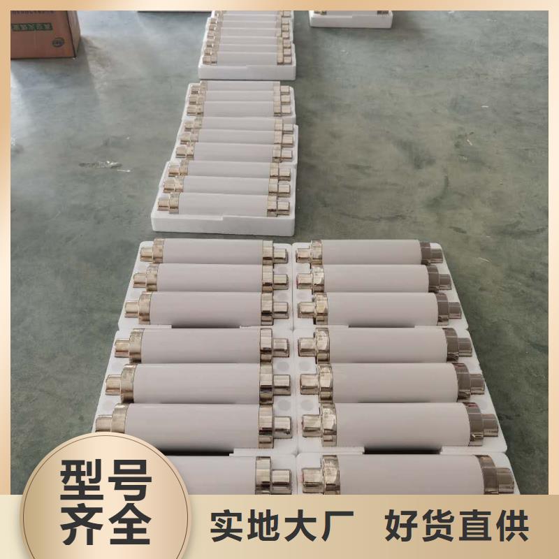 XRNR1熔断器型号高压熔断器规格齐全保险管多年行业经验