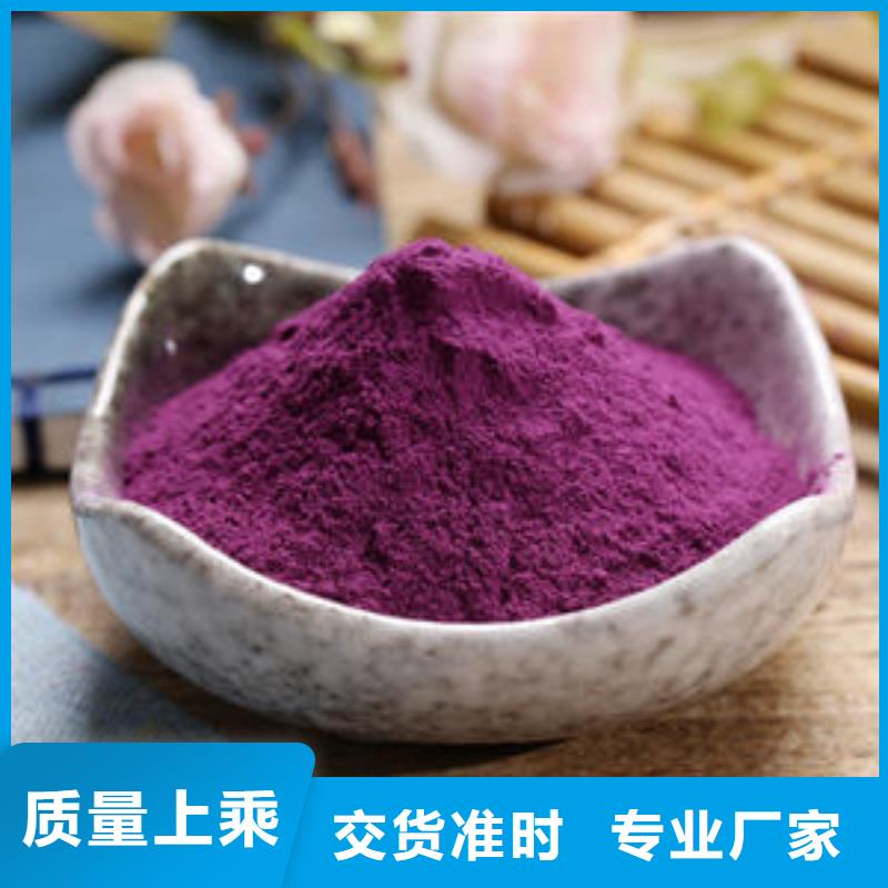 紫薯粉羽衣甘蓝粉规格齐全实力厂家现货批发