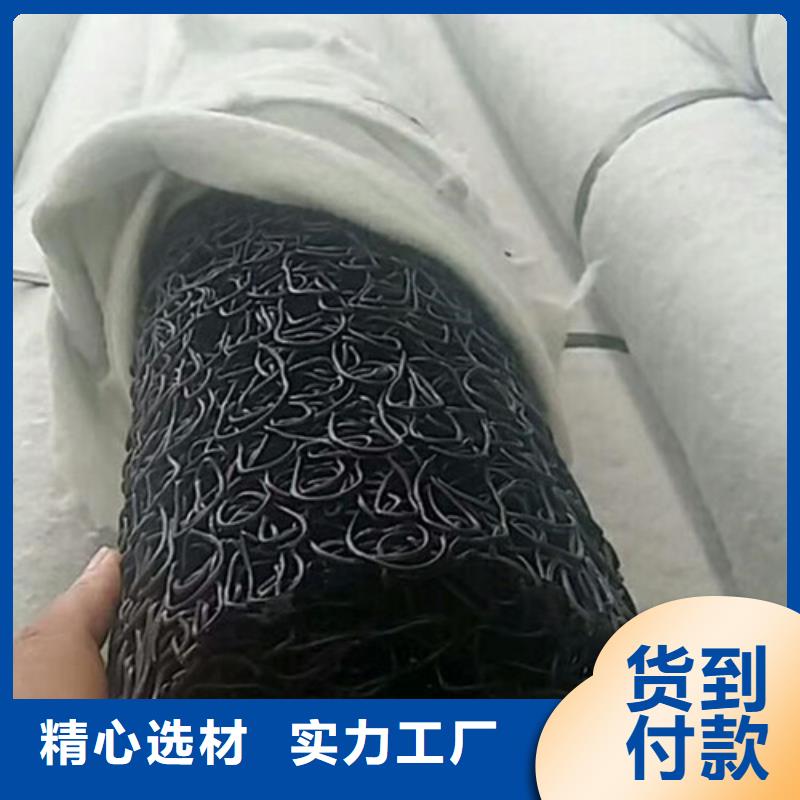 盲沟盲管三维土工网垫一站式供应厂家量大更优惠