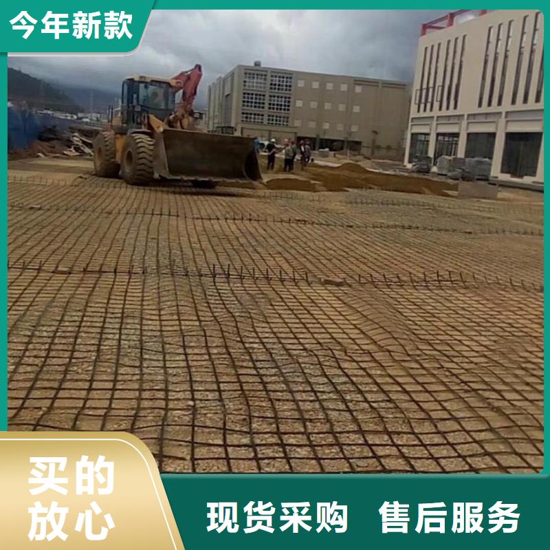 钢塑土工格栅_钢塑土工格栅价格多少钱保质保量
