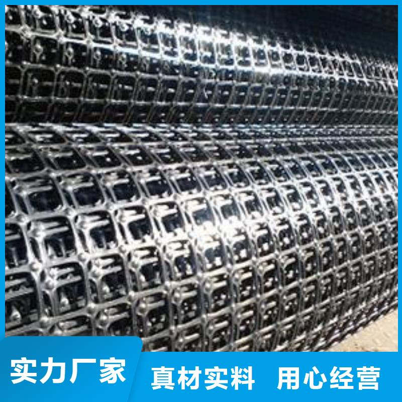 矿用钢塑复合假顶网PP焊接土工格栅精品优选本地品牌