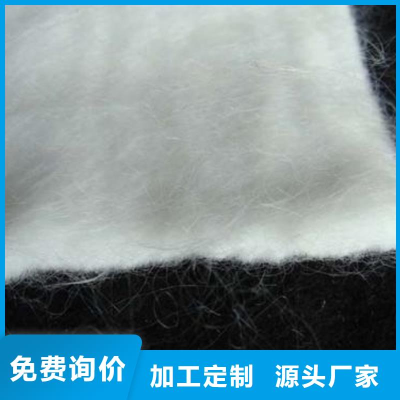 土工布PP焊接土工格栅严选材质当地生产厂家