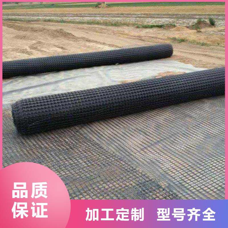 双向塑料土工格栅【复合土工膜】匠心品质当地公司