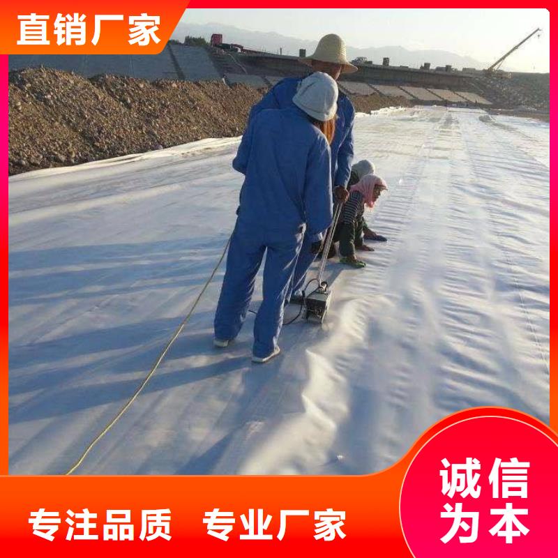 复合土工膜_城建土工膜快速发货同城公司