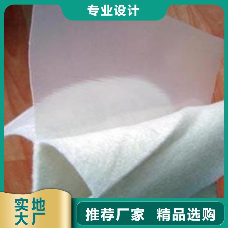 复合土工膜PVC防水卷材老客户钟爱同城生产商