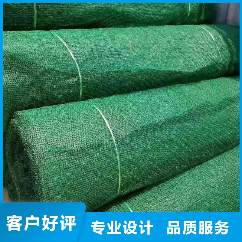 三维植被网-复合土工膜快速报价批发价格