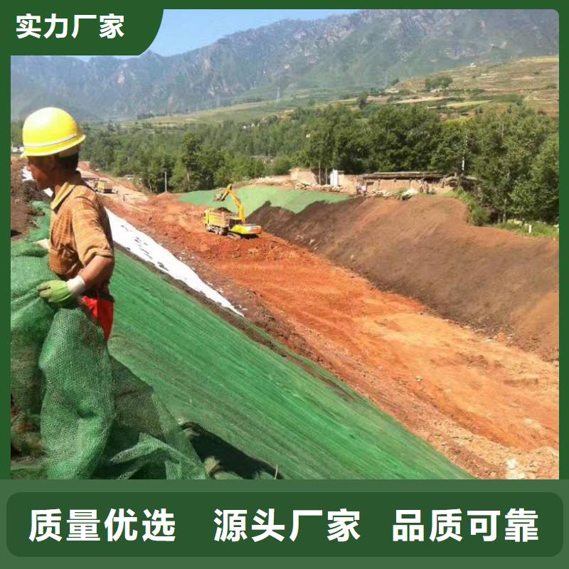 三维植被网三维复合排水网优质原料同城品牌