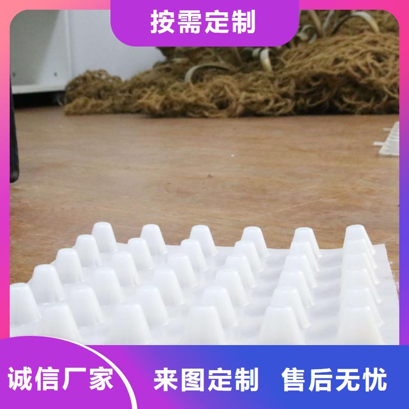 塑料排水板—软基处理_塑料排水板价格_塑料排水带品种全