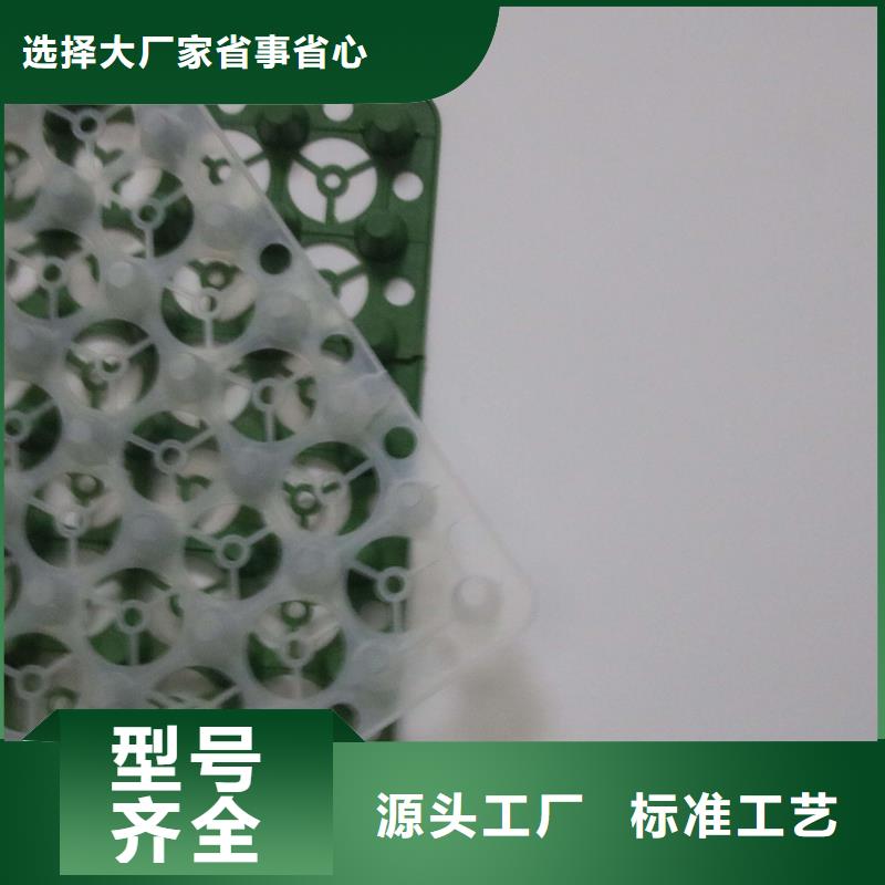 排水板三维植被网信誉有保证超产品在细节