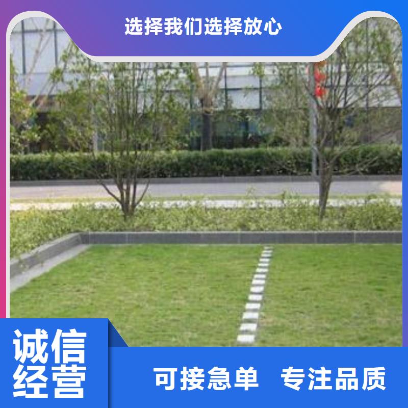 【植草格,土工格室价格合理】当地货源
