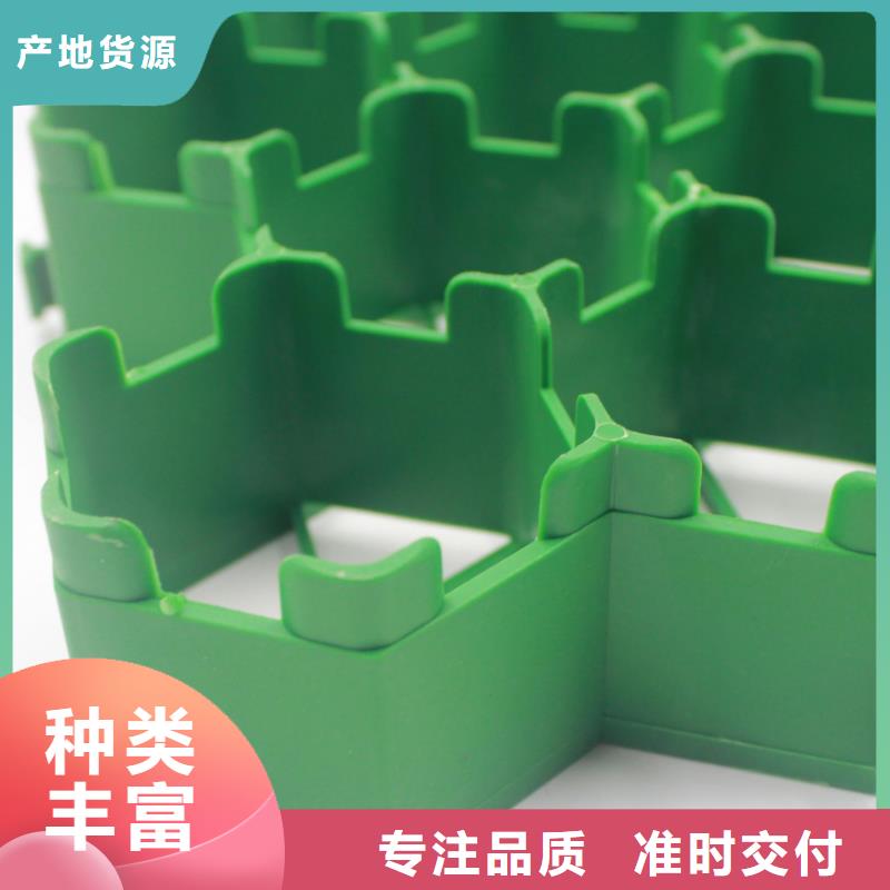 植草格-塑料盲沟让利客户市场报价