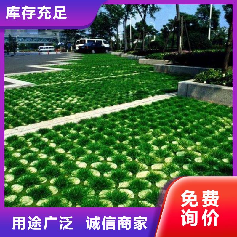 植草格_蜂巢格室专注生产N年当地服务商