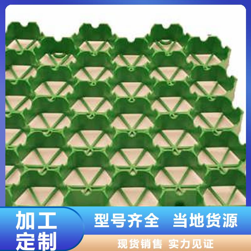 【植草格】蜂巢格室货源足质量好一站式采购商家