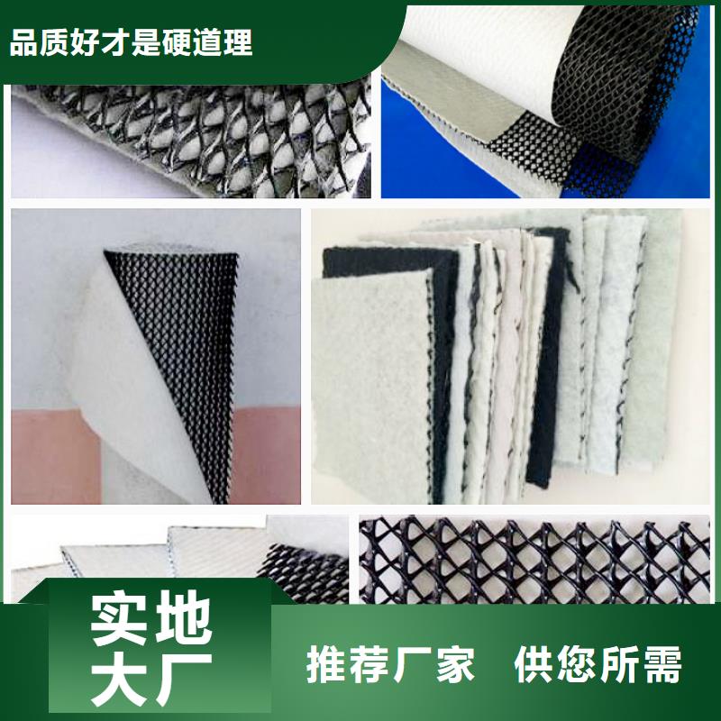 三维复合排水网三维土工网垫优质原料热销产品