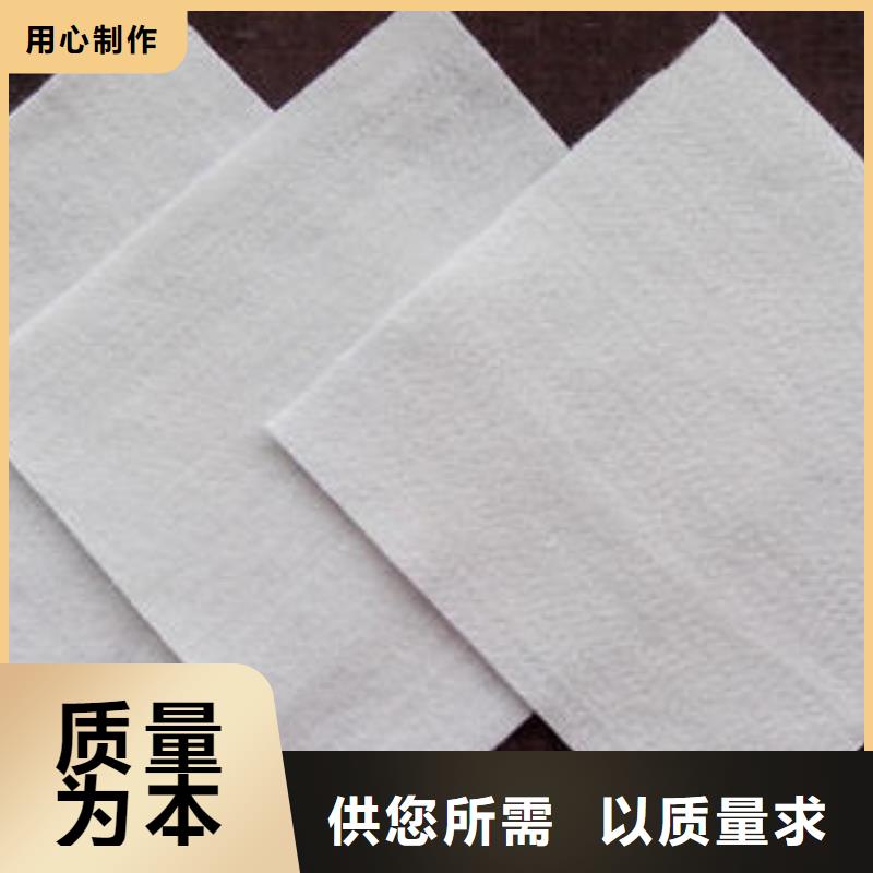 土工布-短丝土工布品质优良本地品牌
