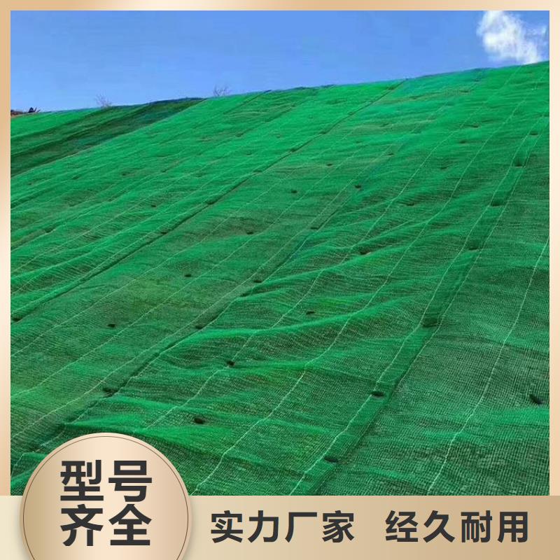 三维植被网-【玻纤土工格栅】精选优质材料价格实在
