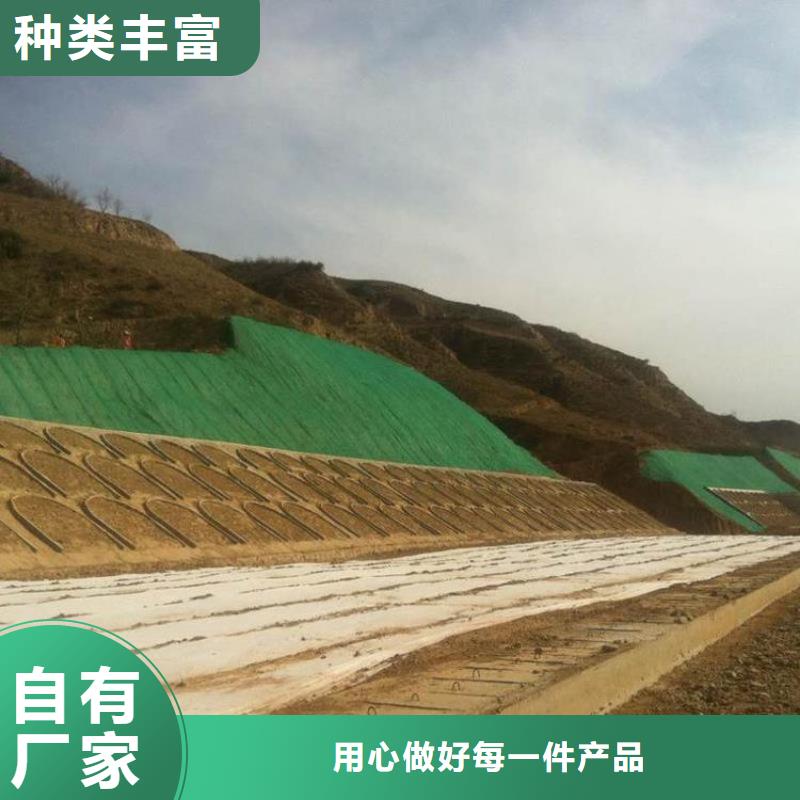 三维植被网【复合土工膜】一站式厂家质检合格发货
