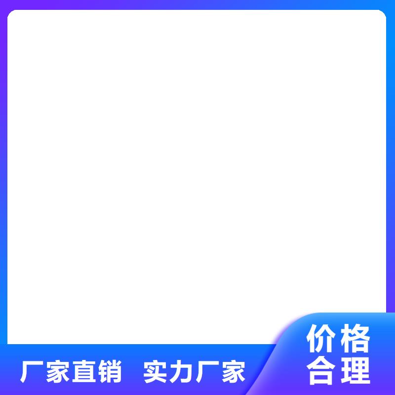 皮带秤生产型